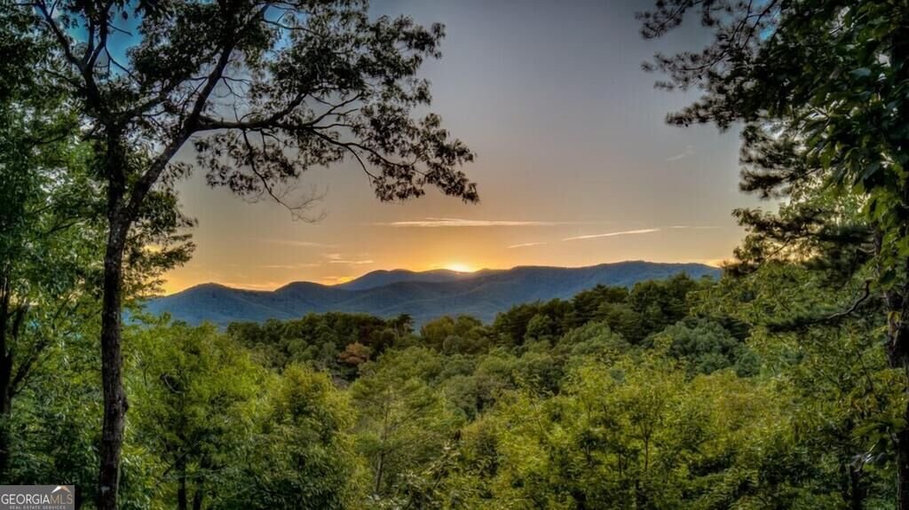 20 Smith Hill Road Blue Ridge - Photo 16