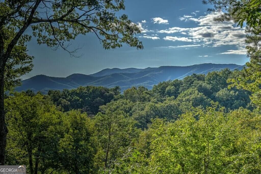 20 Smith Hill Road Blue Ridge - Photo 29