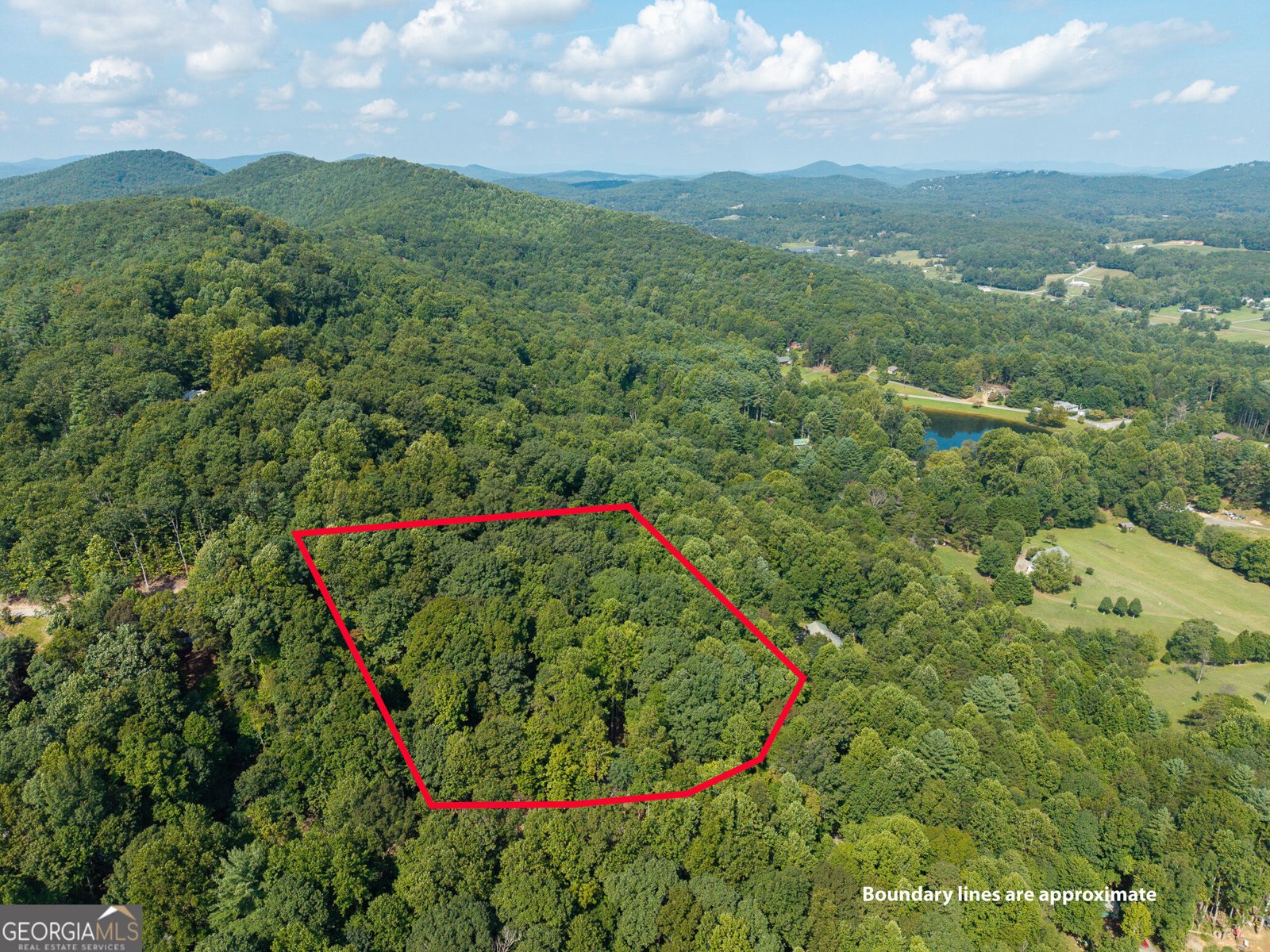 767 Robertson Circle Blairsville - Photo 22