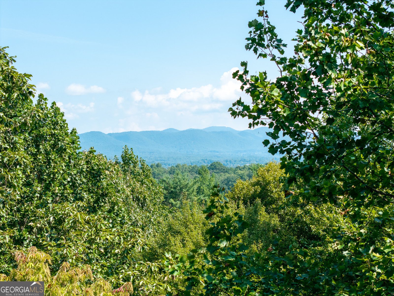 767 Robertson Circle Blairsville - Photo 24