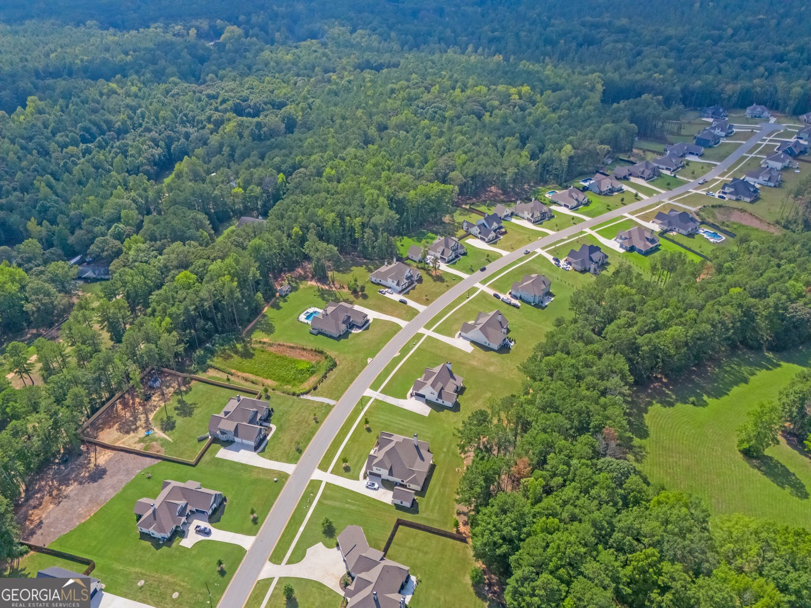 82 Riverstone Drive Senoia - Photo 46