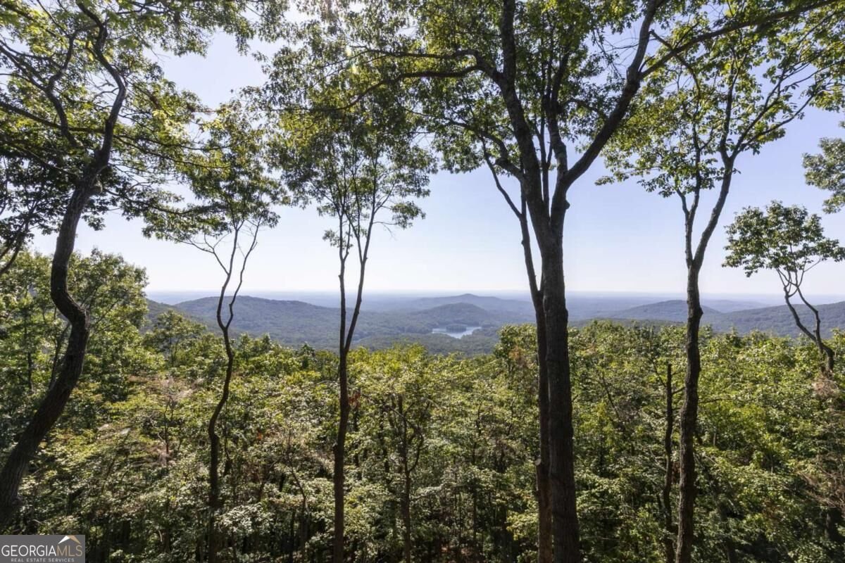 159 Sanderlin Mtn Drive Jasper - Photo 39