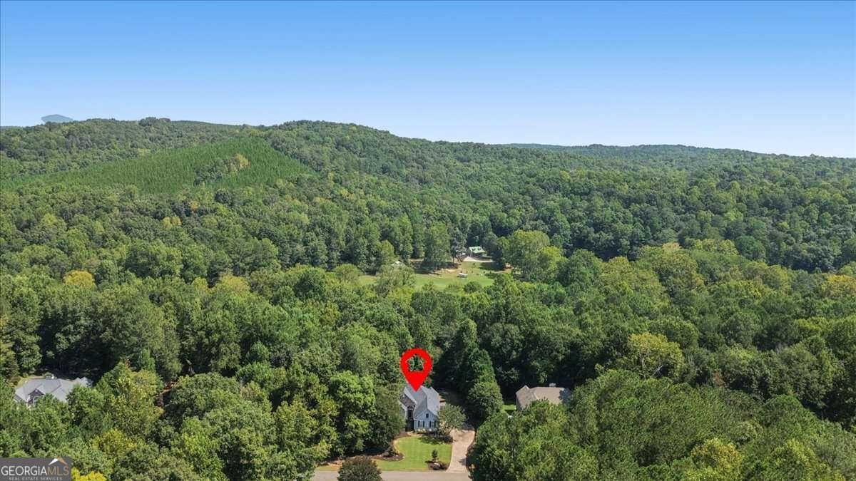 149 Preserve Parkway Ball Ground - Photo 40