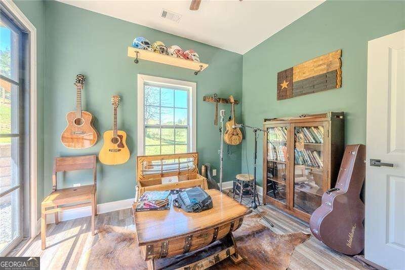 182 Henry Mack Hill Road Rydal - Photo 41