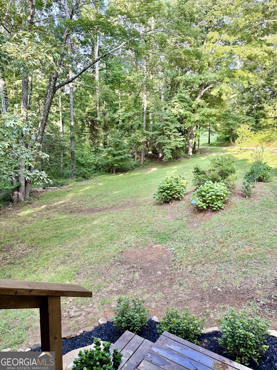 56 Carin Lane Lakemont - Photo 10