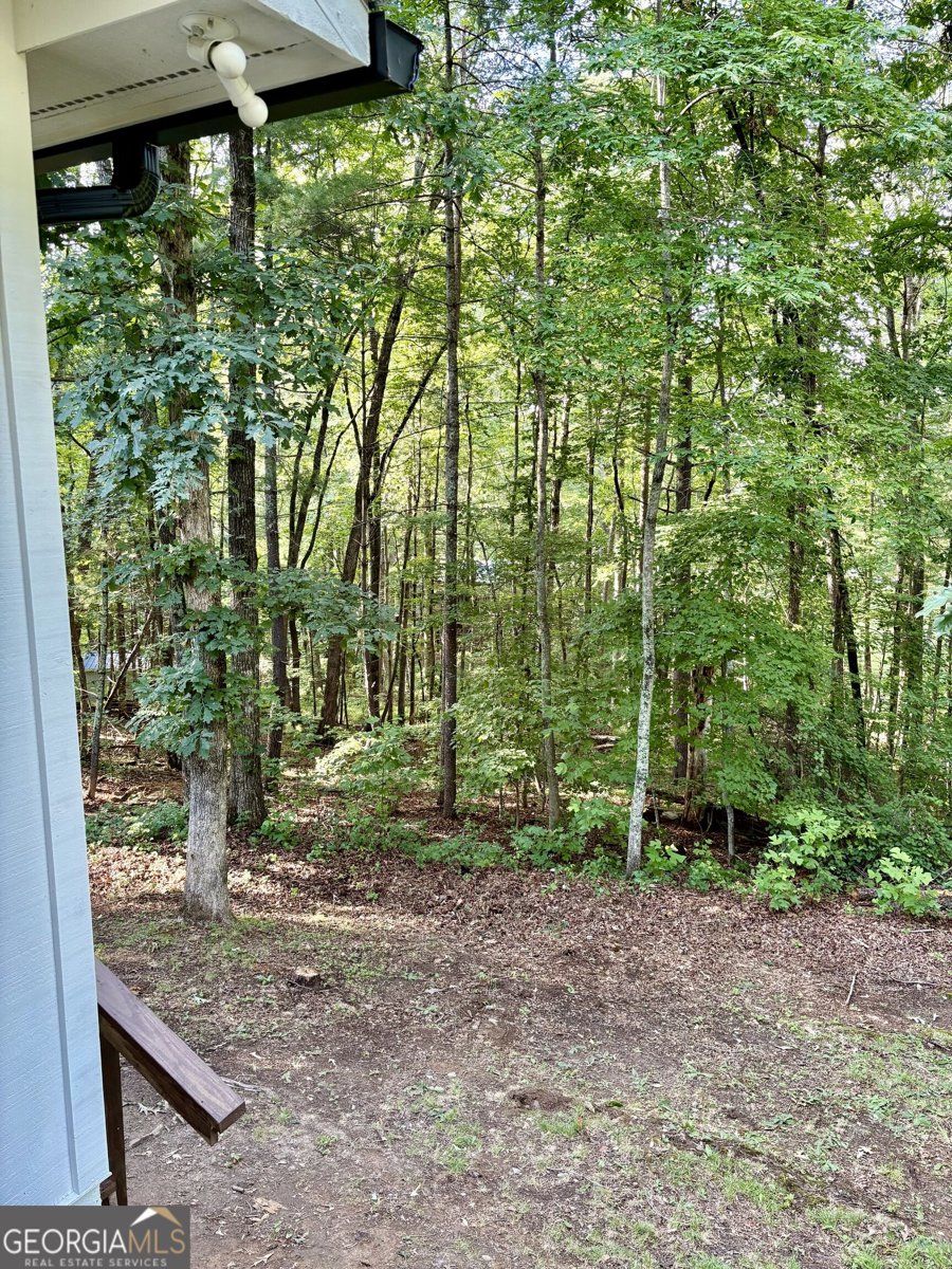 56 Carin Lane Lakemont - Photo 9