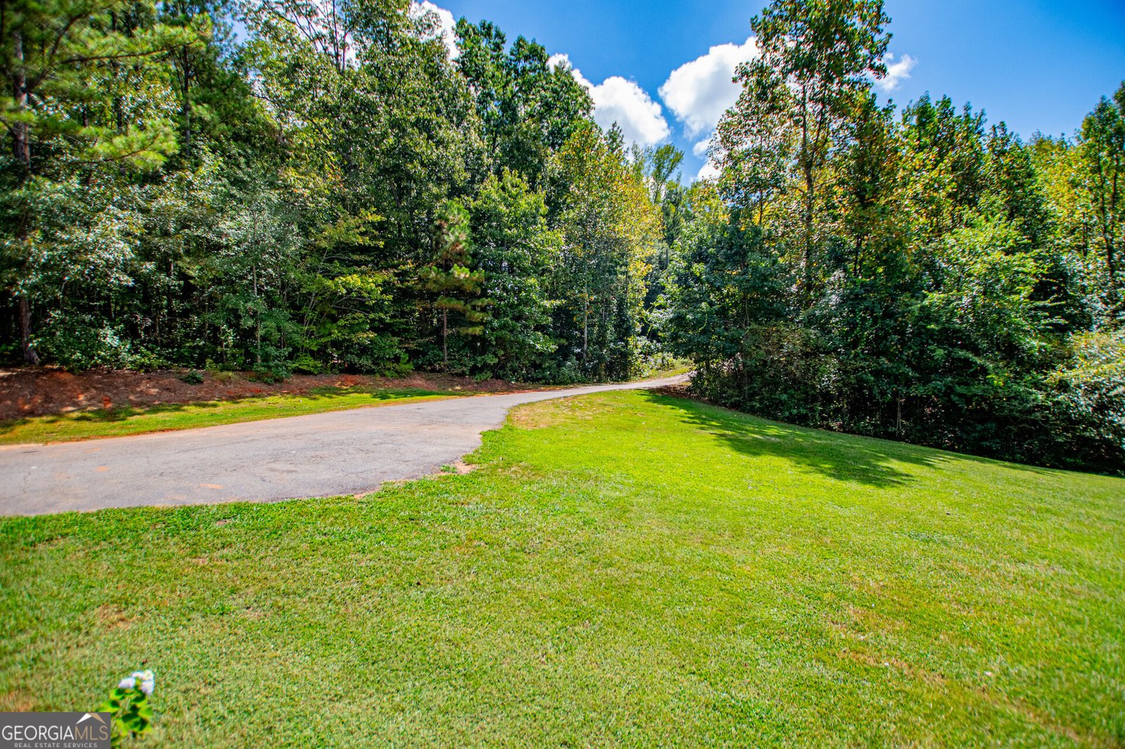 1057 Clem Lowell Road Carrollton - Photo 7