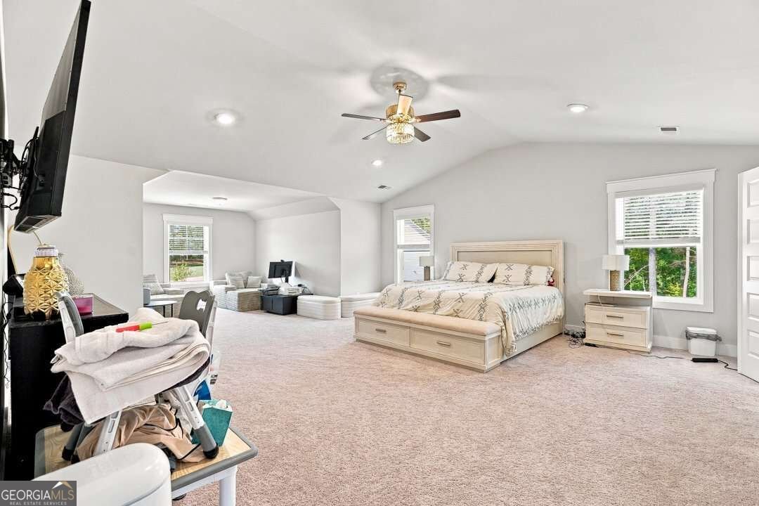 6 SLICK Court Senoia - Photo 13