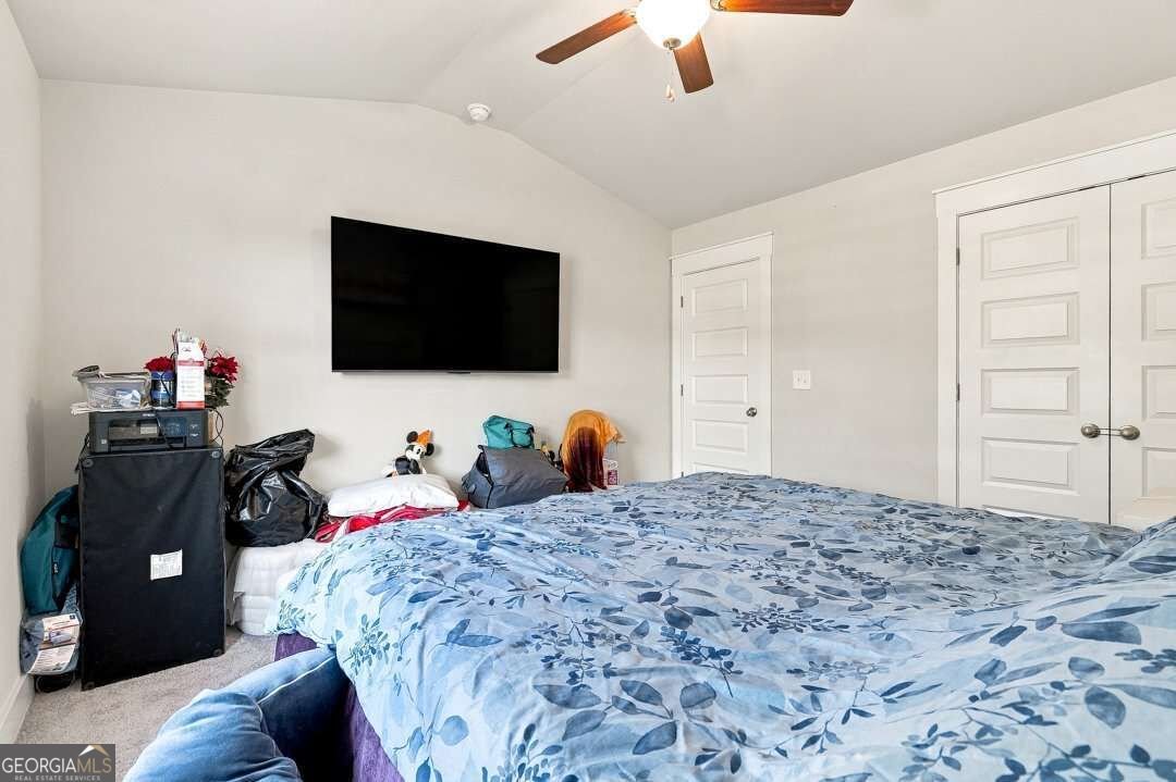 6 SLICK Court Senoia - Photo 19