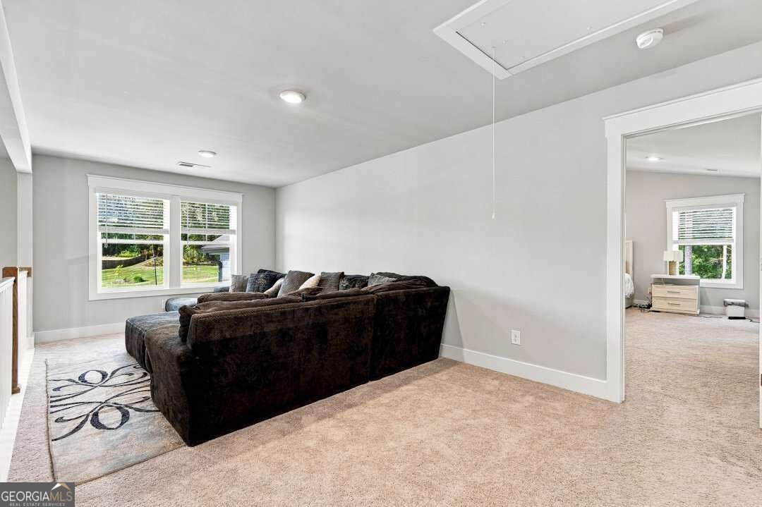 6 SLICK Court Senoia - Photo 24