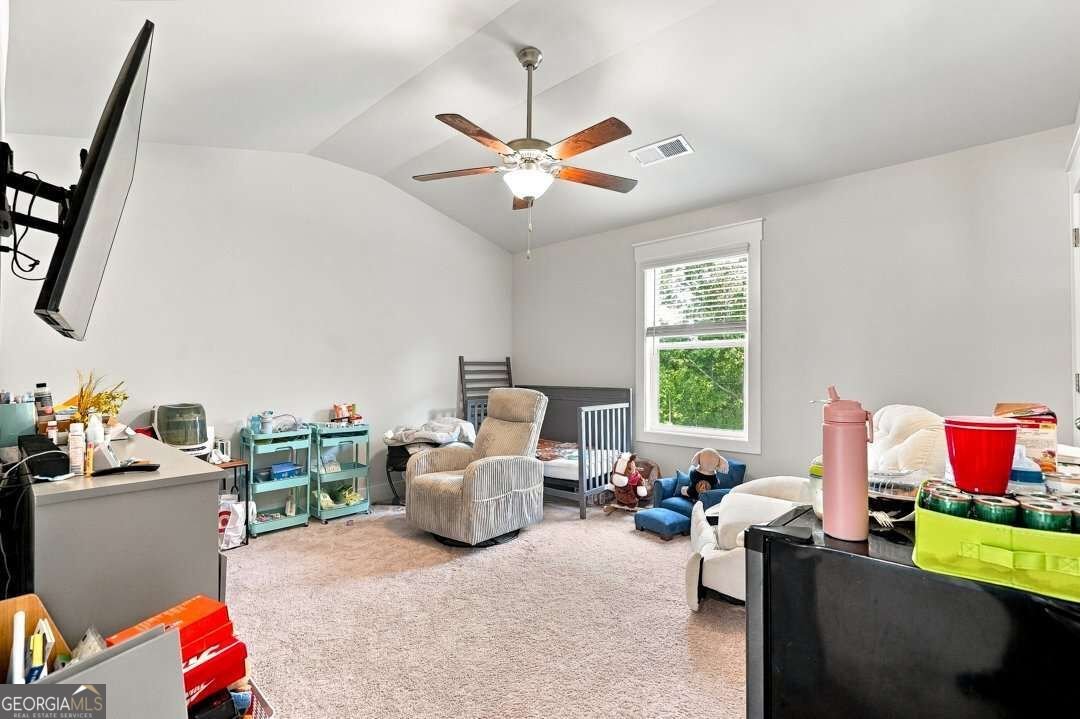 6 SLICK Court Senoia - Photo 28