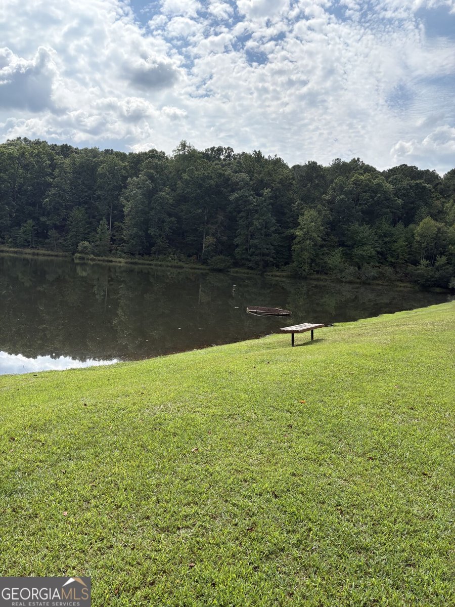 4090 Lake Drive Loganville - Photo 42