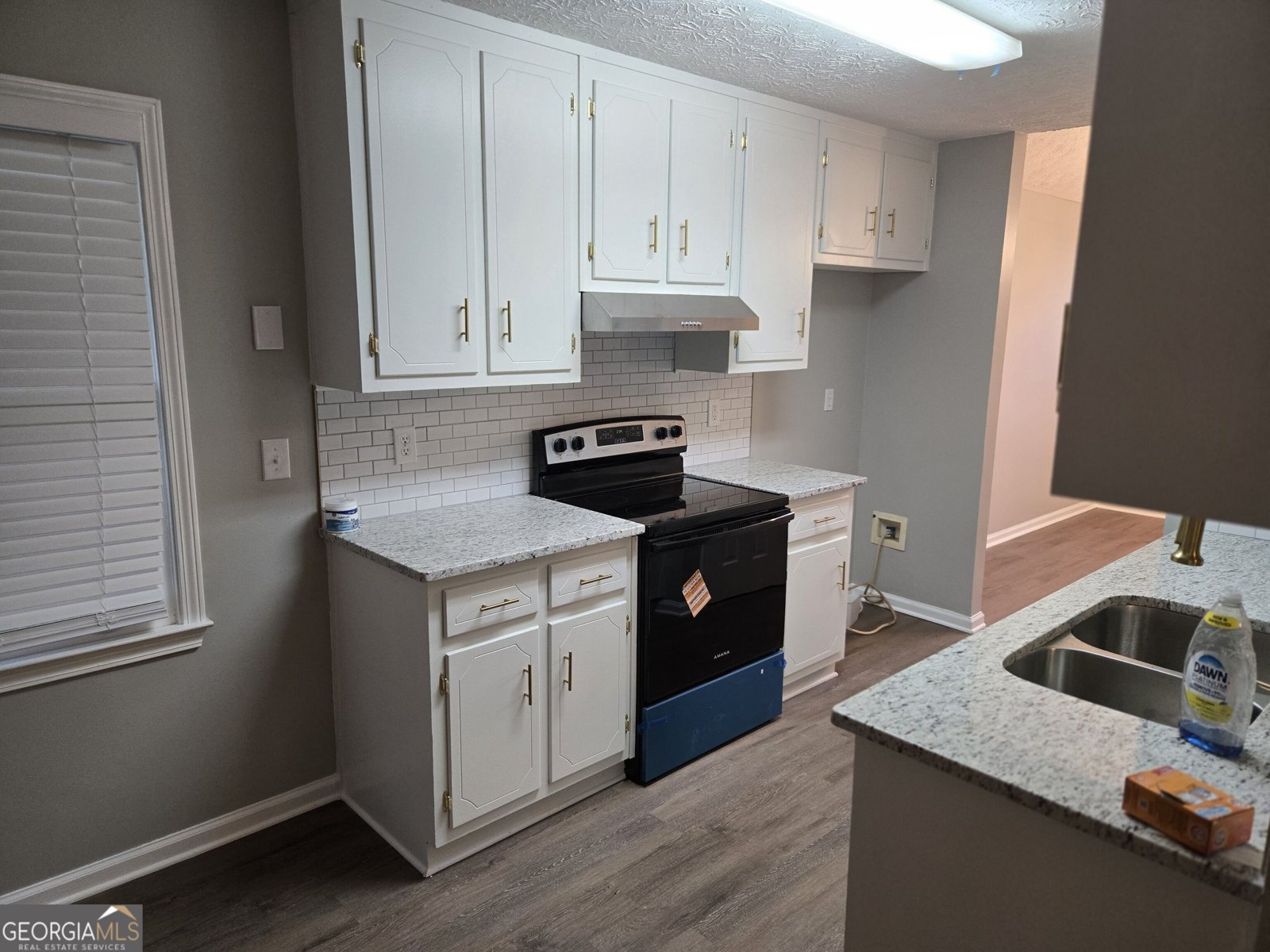 4809 CEDAR LAKE DRIVE Conyers - Photo 9