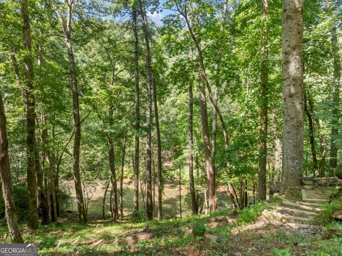 509 Ponderosa Road Ellijay - Photo 40