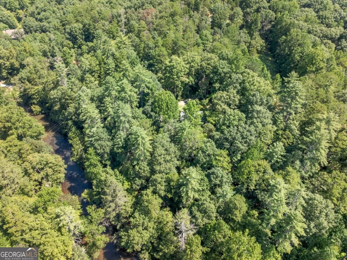 509 Ponderosa Road Ellijay - Photo 43