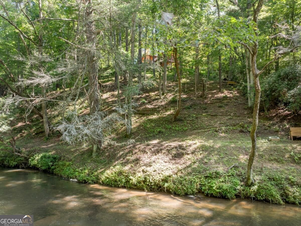 509 Ponderosa Road Ellijay - Photo 46