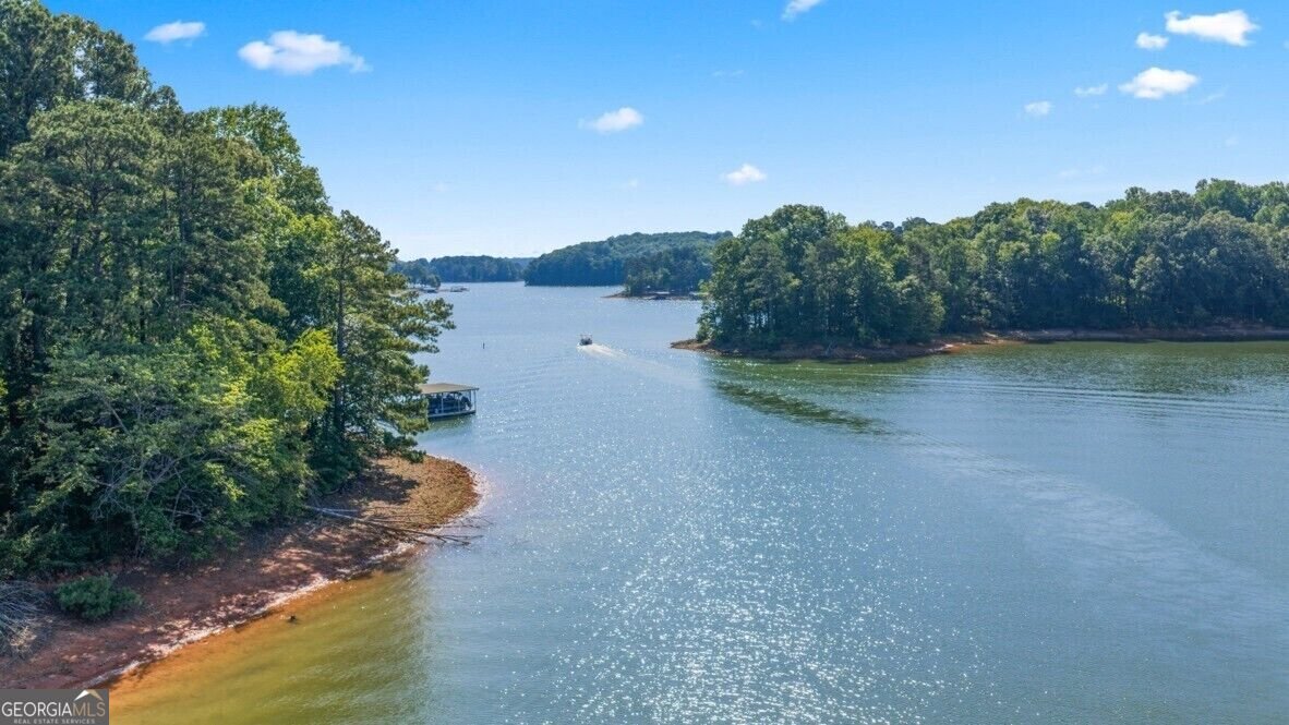360 Grandview Drive Dawsonville - Photo 39