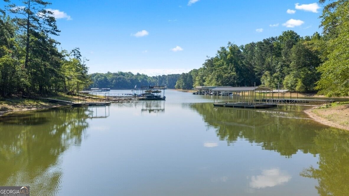 346 Grandview Drive Dawsonville - Photo 34