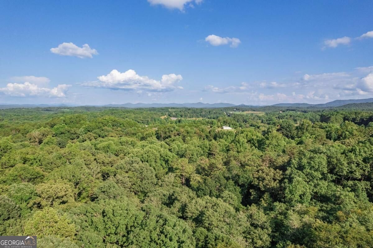 270 Stone Lane Blue Ridge - Photo 62