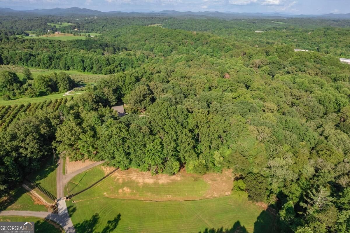270 Stone Lane Blue Ridge - Photo 63