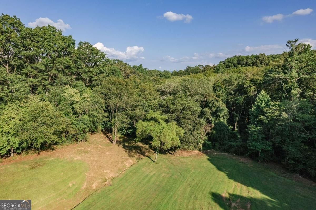 270 Stone Lane Blue Ridge - Photo 66