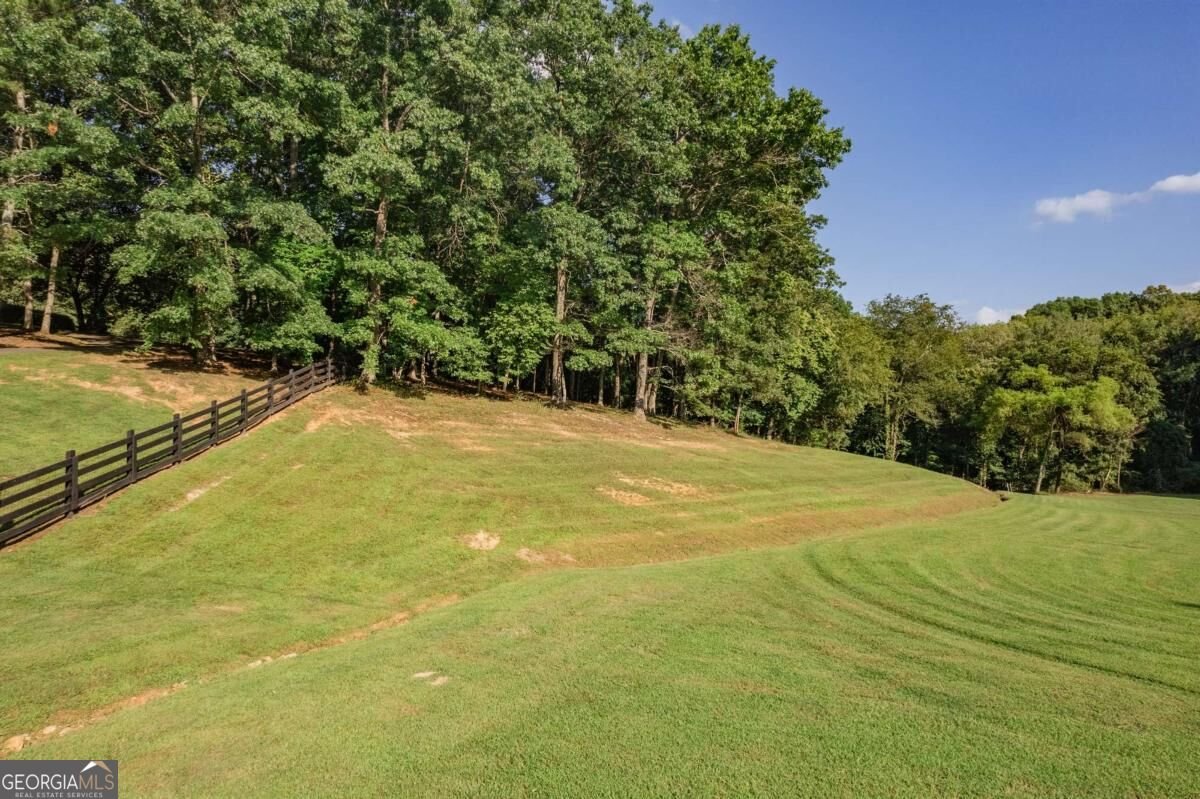 270 Stone Lane Blue Ridge - Photo 67