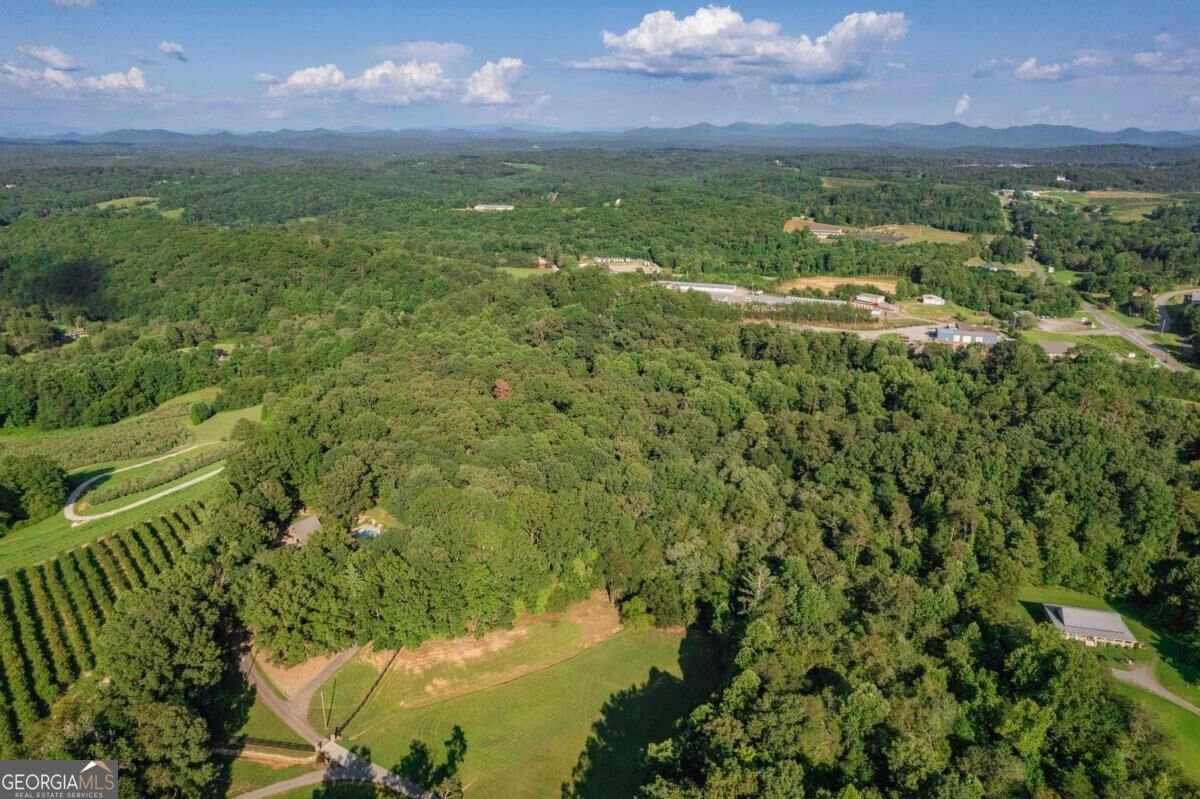 270 Stone Lane Blue Ridge - Photo 70
