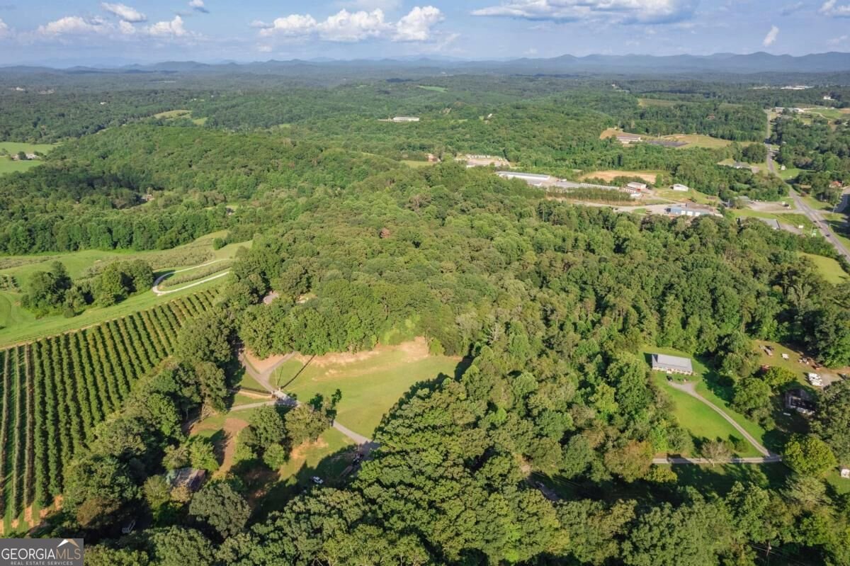 270 Stone Lane Blue Ridge - Photo 71