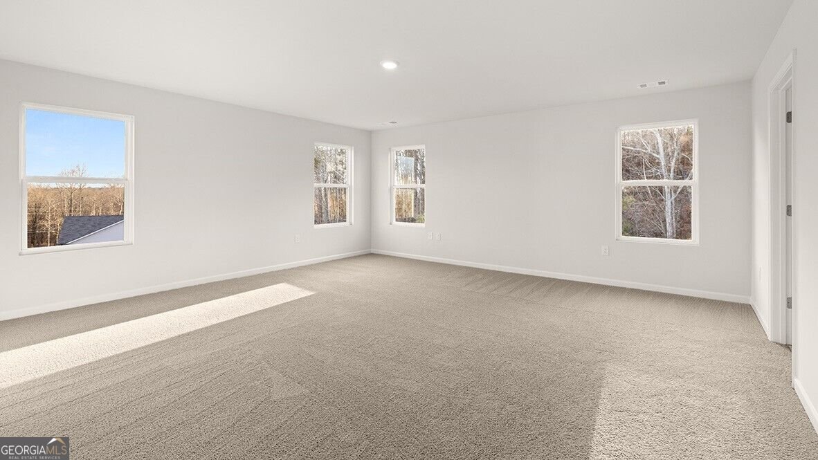 160 Supreme Court Braselton - Photo 17