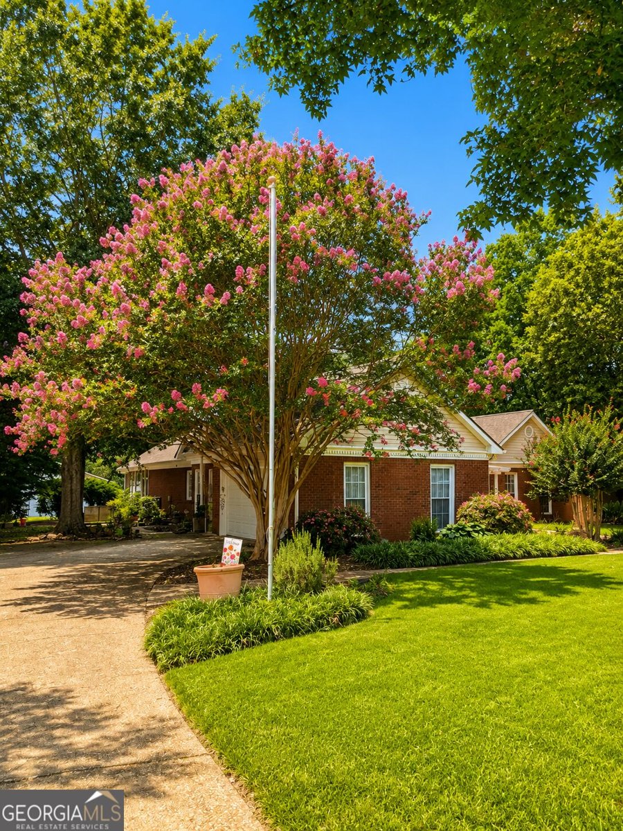 21 Teal Court Locust Grove - Photo 29