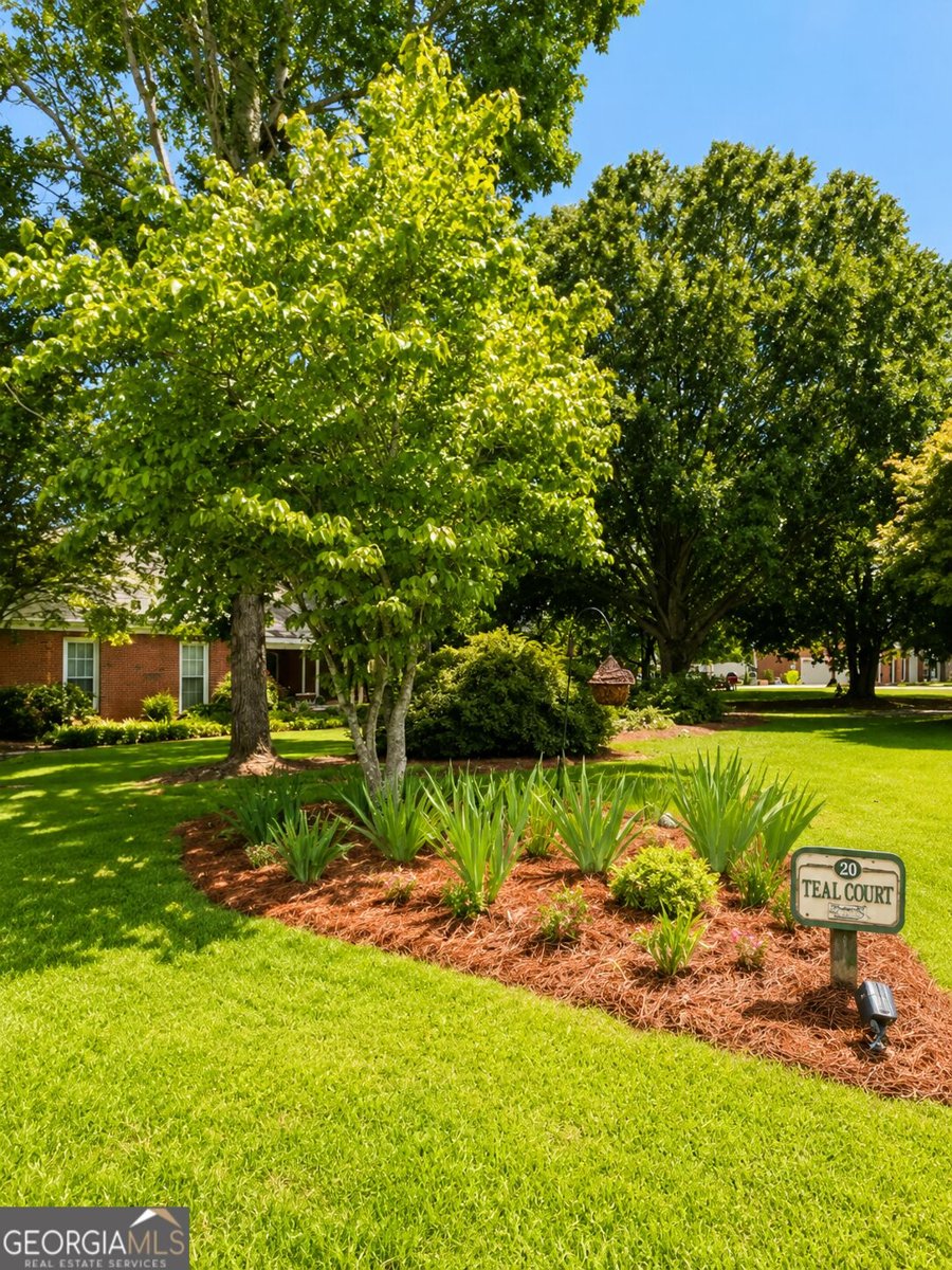 21 Teal Court Locust Grove - Photo 30