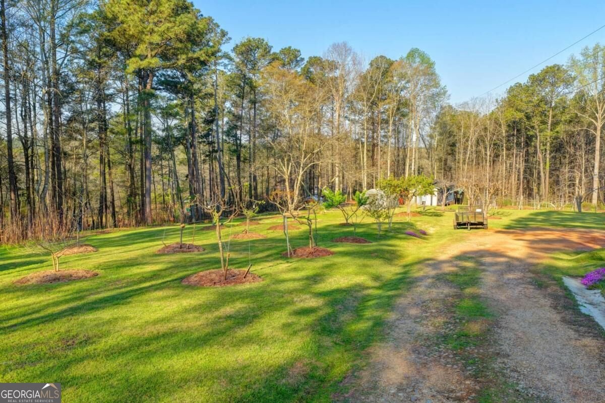 553 Appalachee Ridge rd. Auburn - Photo 75