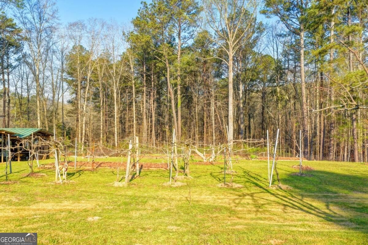 553 Appalachee Ridge rd. Auburn - Photo 79