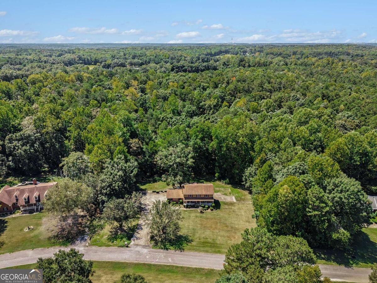 1107 Wallington Court Conyers - Photo 33
