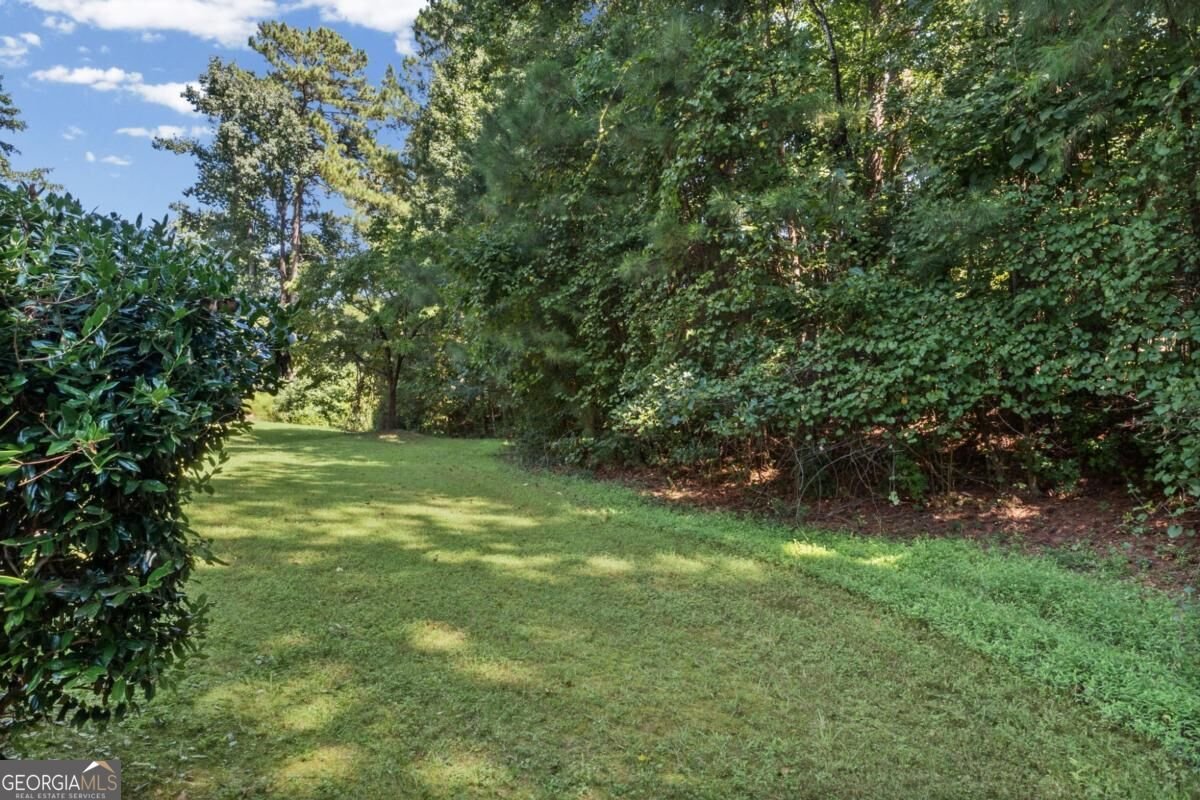 408 Castle Rock Mcdonough - Photo 48