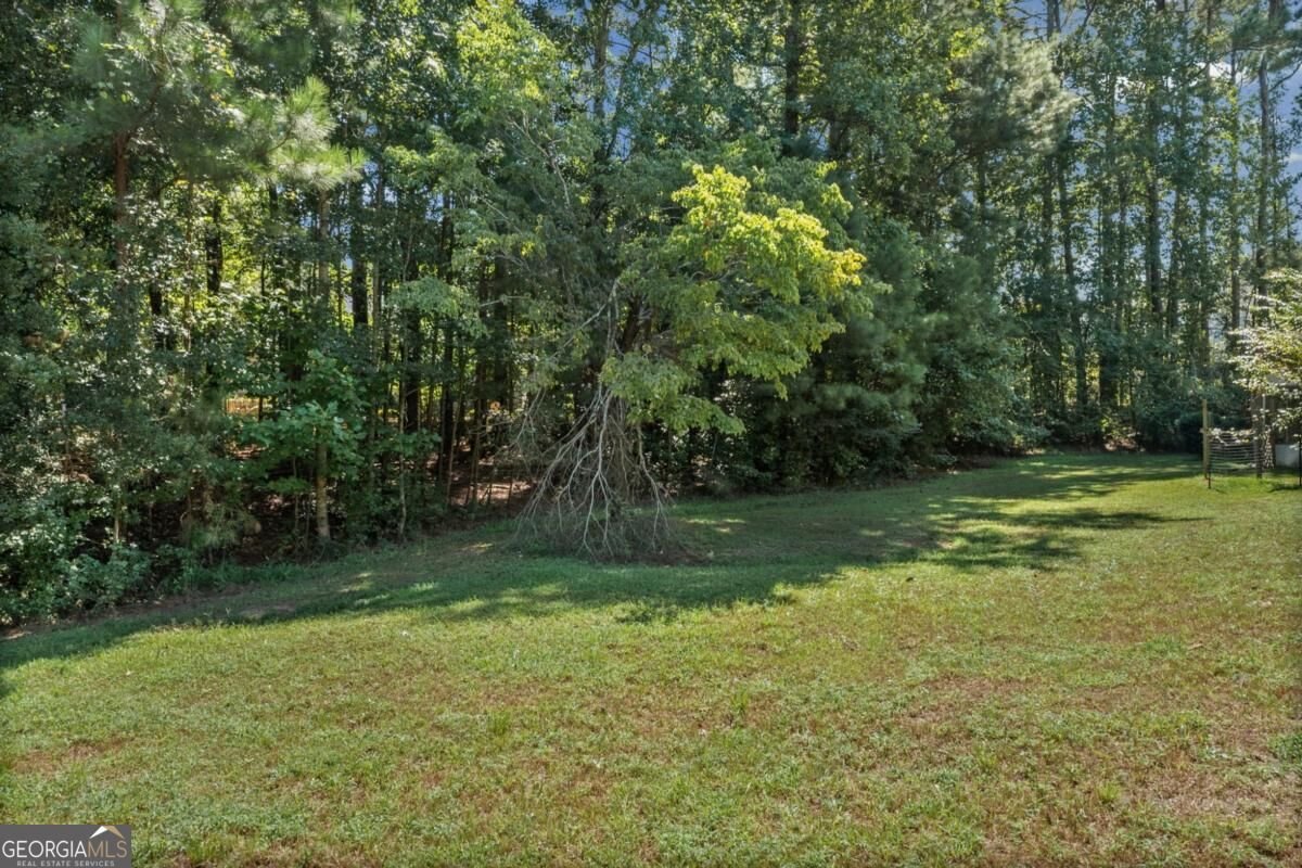 408 Castle Rock Mcdonough - Photo 49