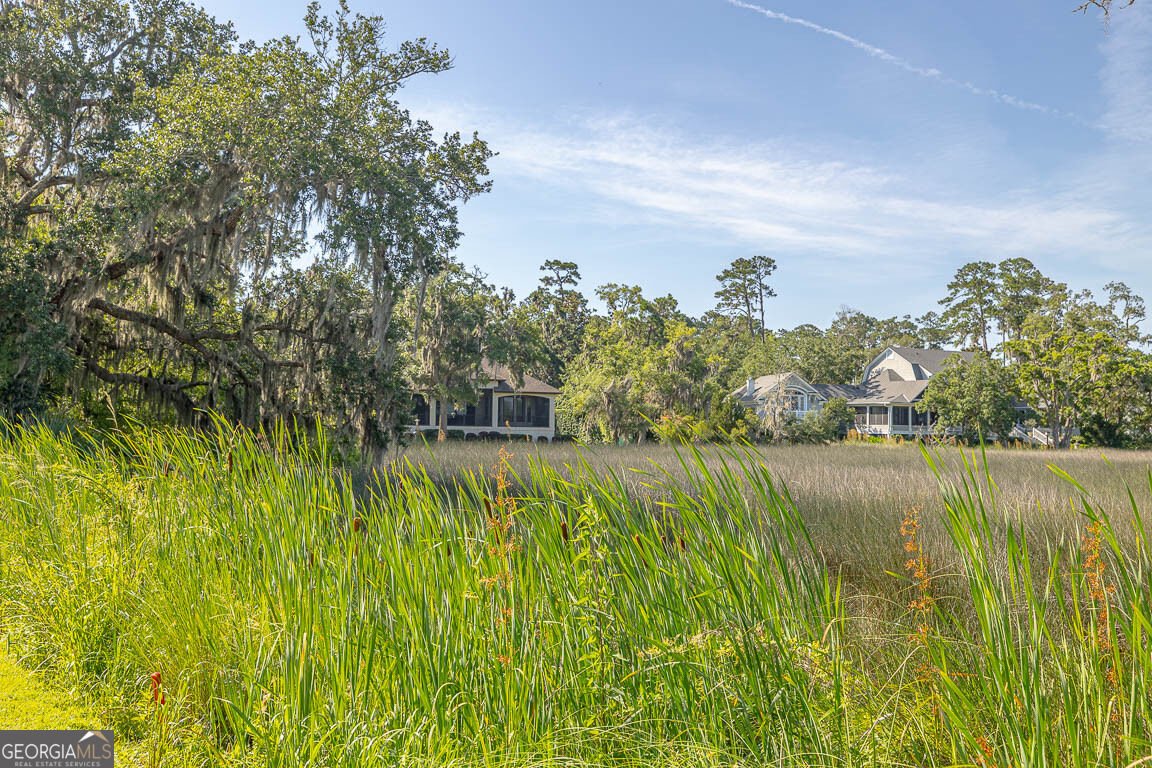 135 Rice Mill St. Simons - Photo 48
