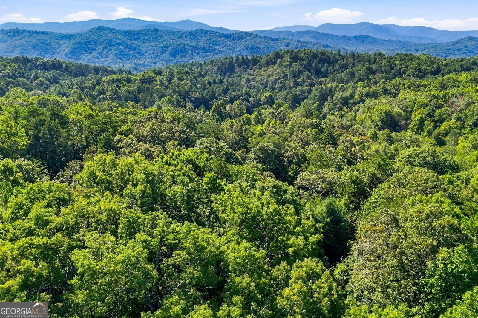 219 Nantahala Drive Blue Ridge - Photo 30