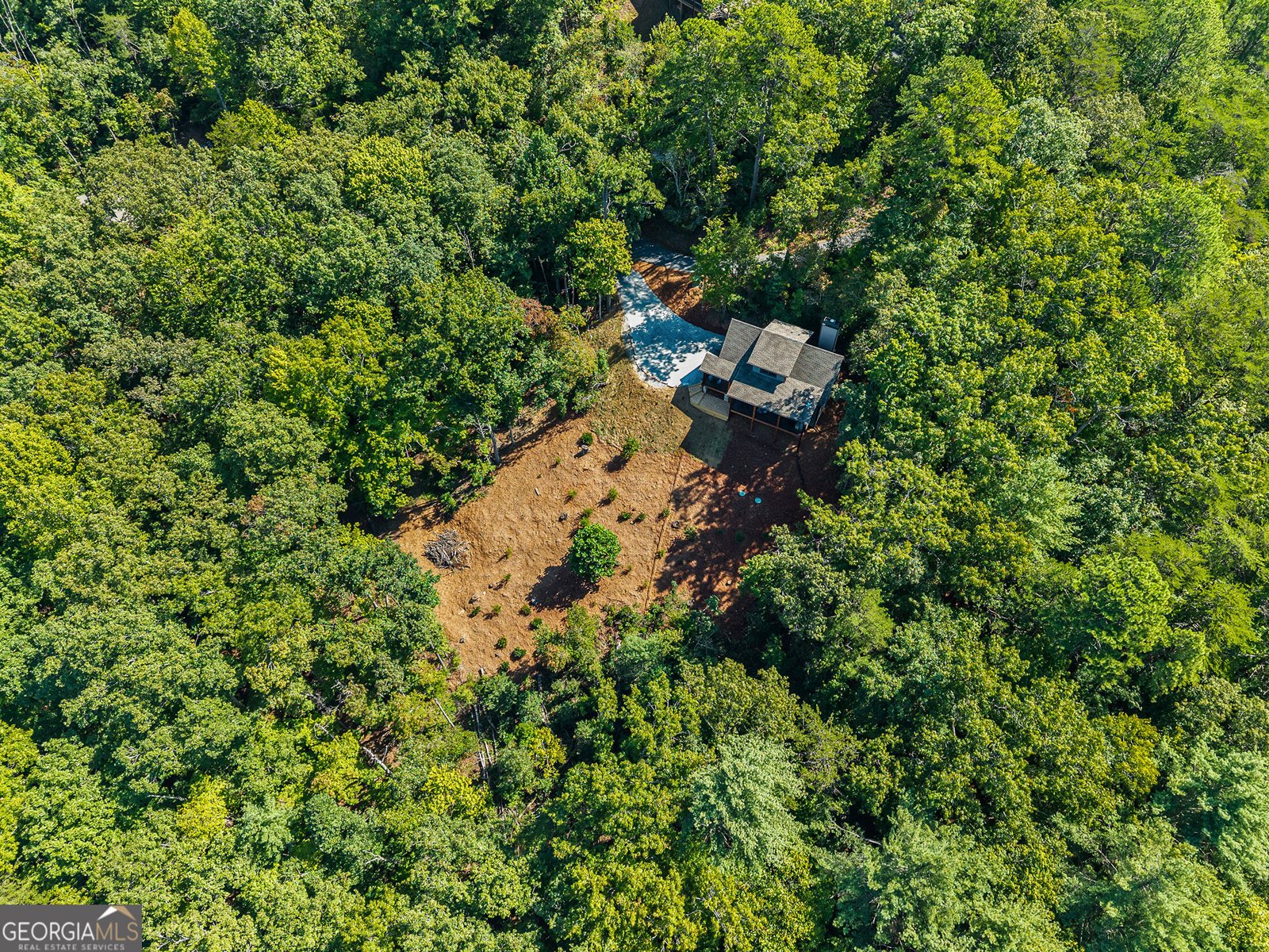 15662 Highway 197 Clarkesville - Photo 38