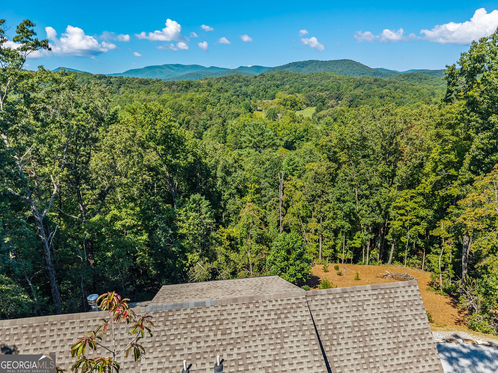 15662 Highway 197 Clarkesville - Photo 39