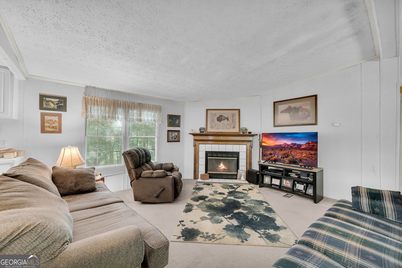 281 Summit Drive Alto - Photo 10