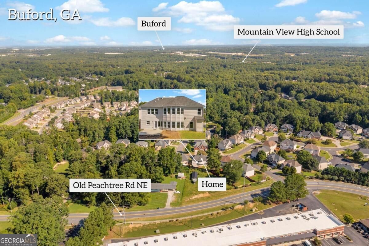 1933 Arbor Springs Way Buford - Photo 39