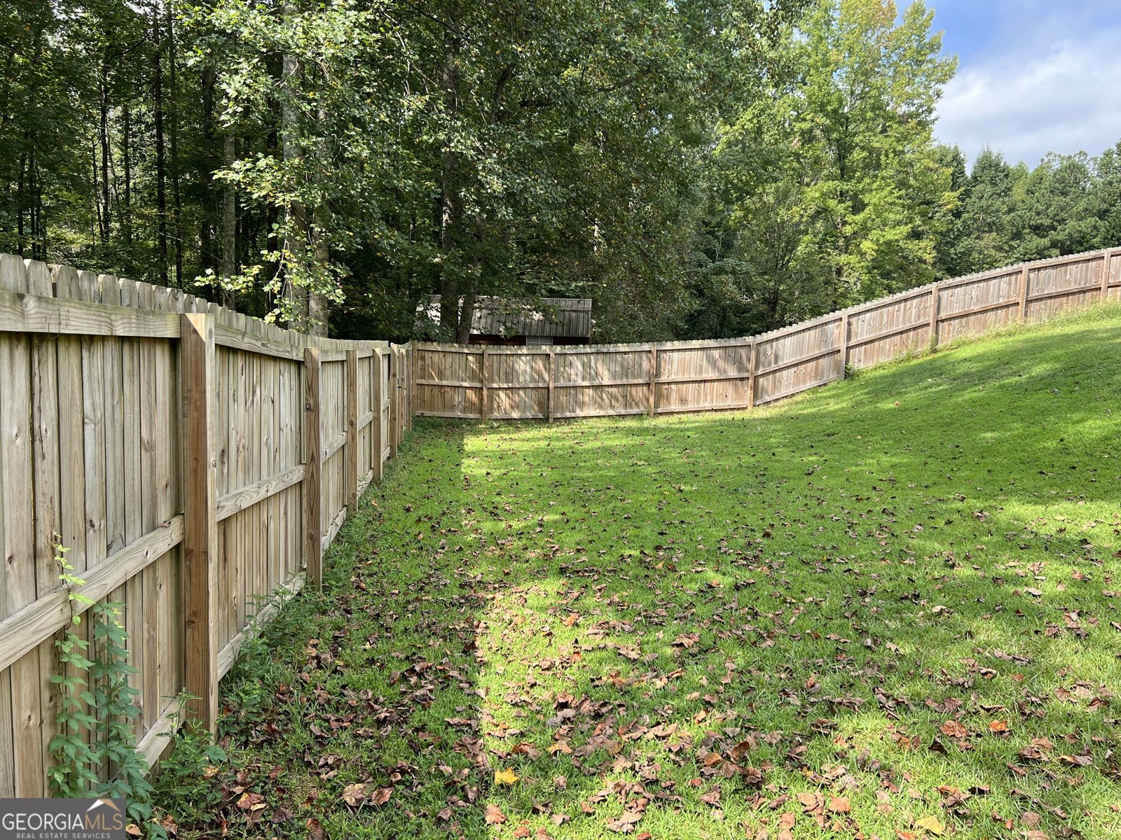 2517 Oak Valley Lane Dacula - Photo 73