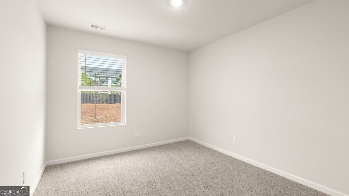 2358 Carlton Parkway Douglasville - Photo 19
