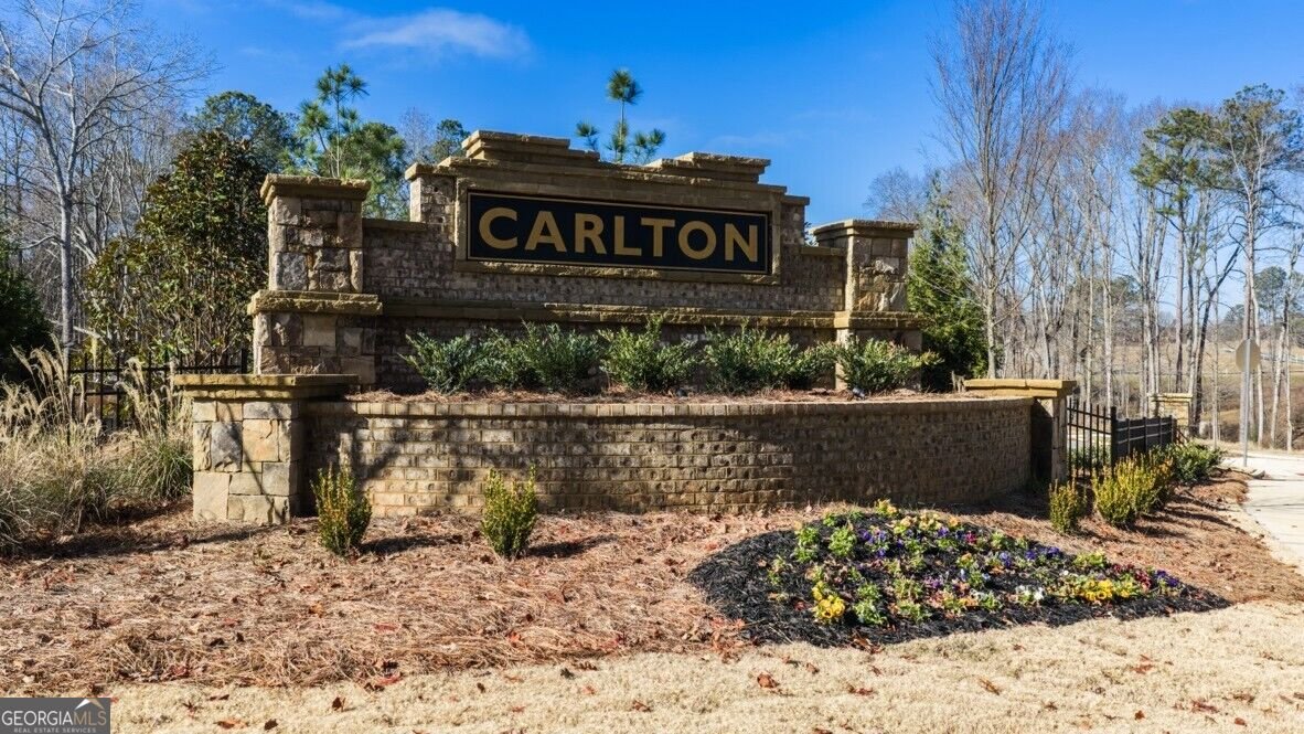 2358 Carlton Parkway Douglasville - Photo 23