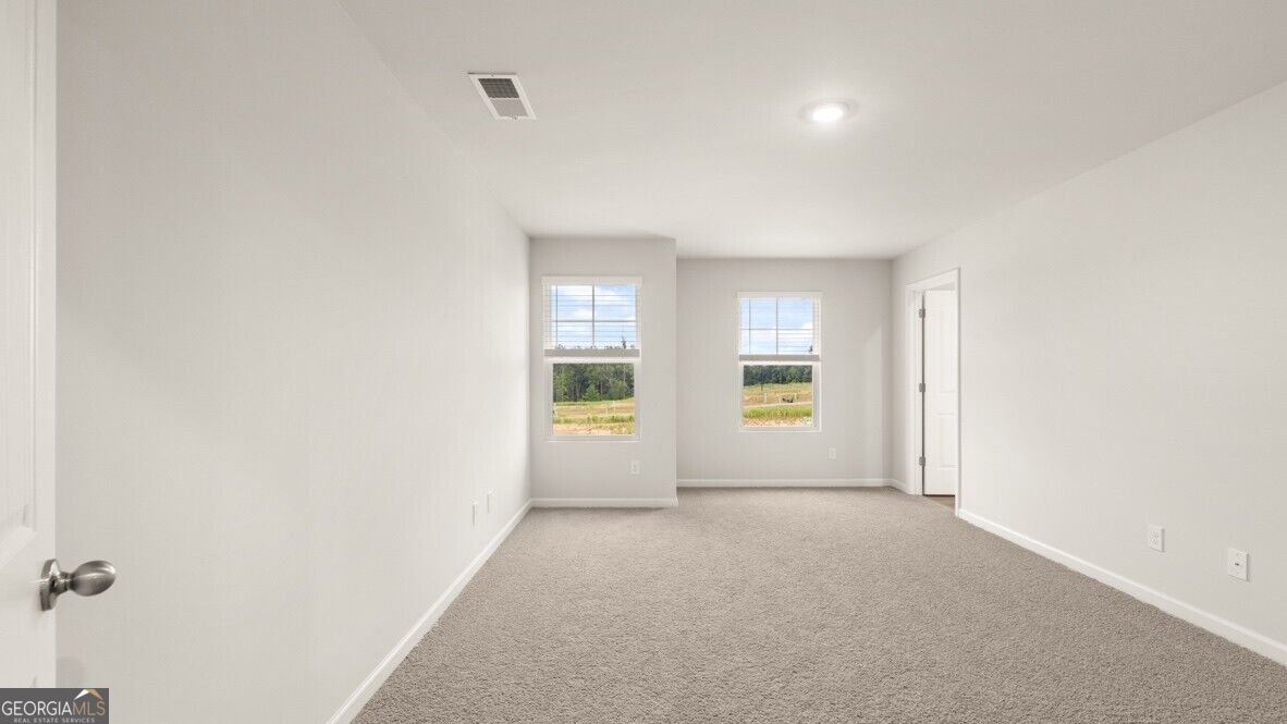 2366 Carlton Parkway Douglasville - Photo 10