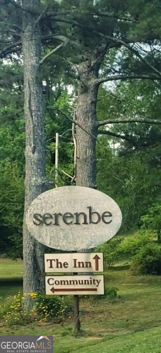 10671 Serenbe Lane Chattahoochee Hills - Photo 39