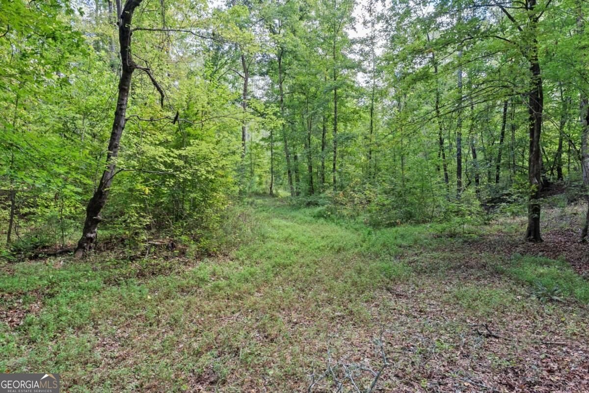 1032 Washington Road Lexington - Photo 13