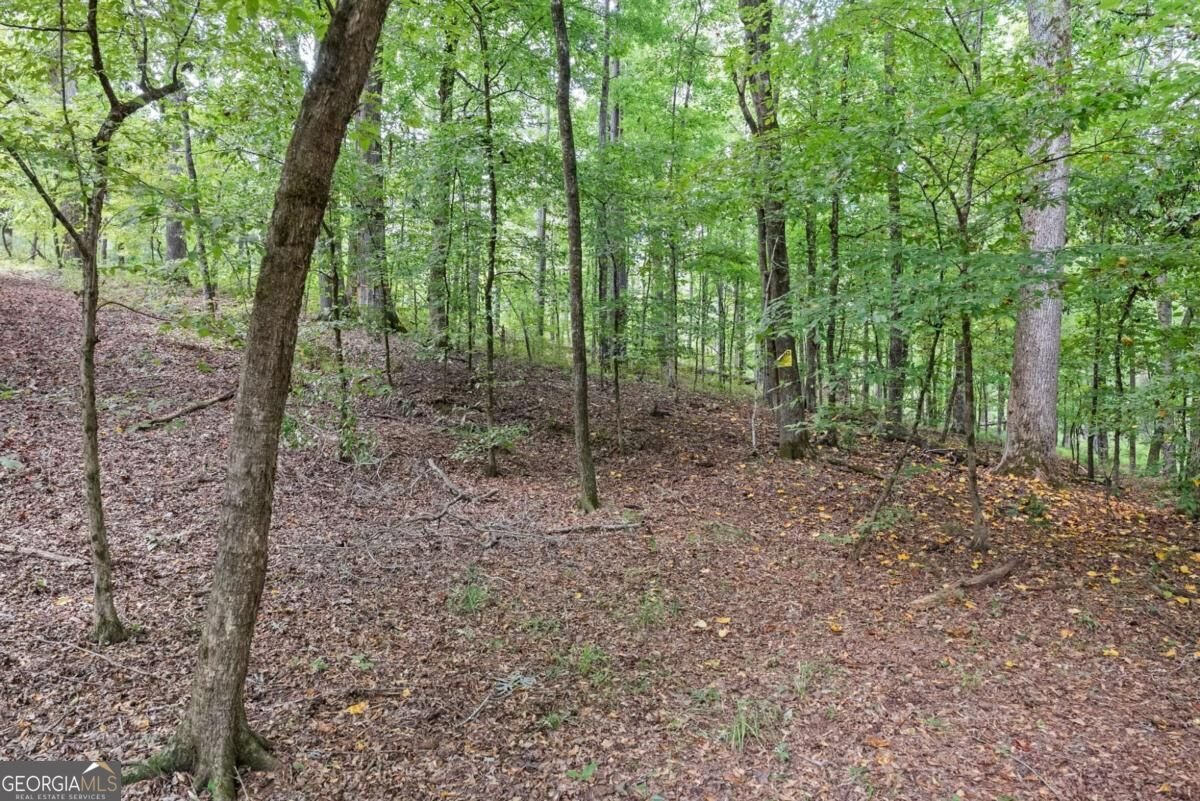 1032 Washington Road Lexington - Photo 14