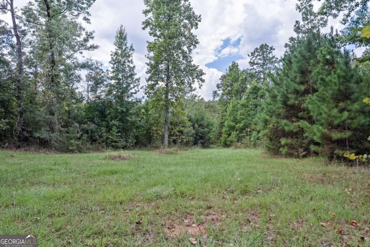 1032 Washington Road Lexington - Photo 16